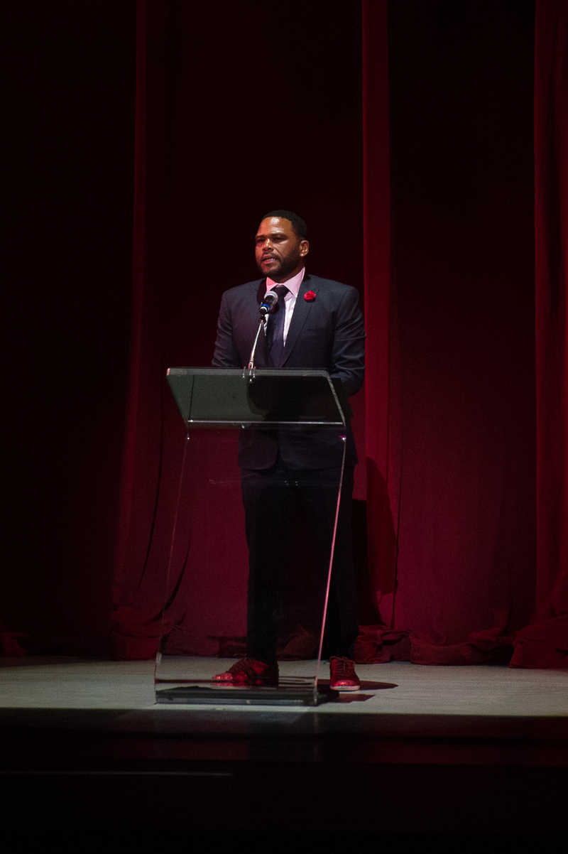 Honorary Chair Anthony AndersonPhoto by Christopher Duggan